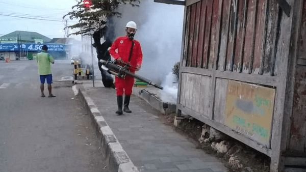 Berita Jogja: Cegah DBD, Ini 3 Hal yang Harus Dilakukan Warga