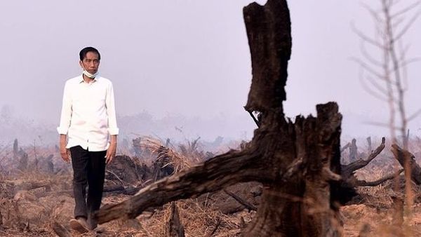 Kebakaran Hutan dan Lahan di Indonesia, Bikin Malu Jokowi?