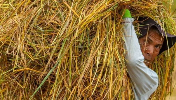 Soal Insentif untuk Pegawai Swasta, Ombudsman: Yang Butuh Justru Buruh Tani dan Kaki Lima