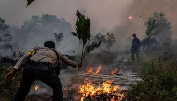 Pemerintah Singapura Turun Tangan Selidiki Karhutla di Indonesia