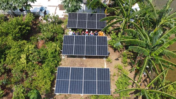 Pertamina Keren! Desa Energi Berdikari Dorong Ekonomi Petani Jamur Karawang
