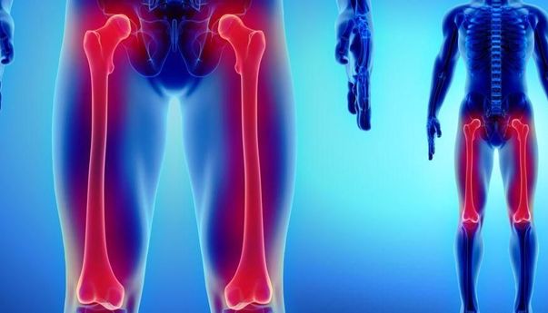 Belajar Biologi! Ketahui Bagian dan Fungsi Tulang Paha Manusia