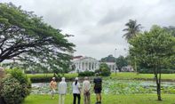 Viral Protes di Medsos, Pengelola Pastikan Harga Tiket Kebun Raya Bogor Sesuai Arahan Pemerintah Pusat