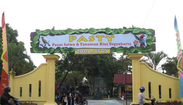 Lokasi Pasar Burung Jogja Terlengkap