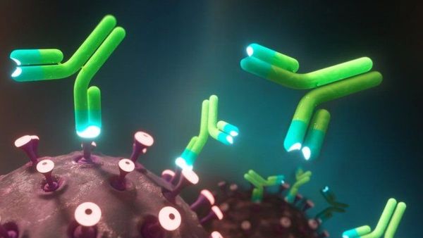 Varian Covid-19 Bakal Kalah dengan 'Antibodi Super' Temuan Para Ahli Ini
