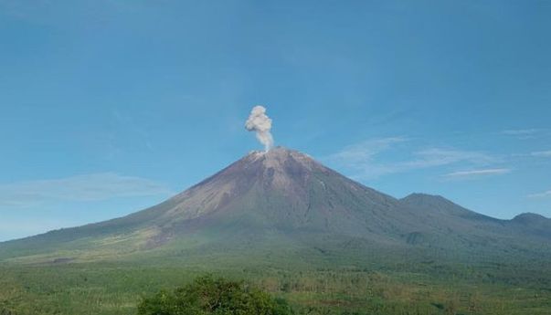 Gunung Semeru Erupsi Senin Pagi, Muntahkan Abu Vulkanik Setinggi 800 Meter