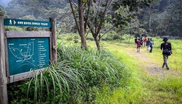 Pilihan Objek Wisata di Indragiri Hulu Riau Untuk Liburan Tak Terlupakan