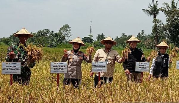 Kementan Sebut Stok Benih Padi untuk Februari Capai 14 Ribu Ton