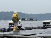 PLTS Terapung Cirata: Pionir Transisi Energi Hijau di Indonesia dan ASEAN