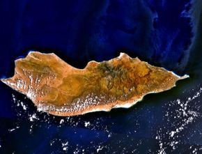 Mengintip Keanehan Pulau Socotra di Yaman, Pulau yang Konon Dihuni Dajjal