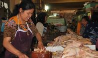 Jelang Ramadan, Harga Telur dan Daging Ayam di Yogyakarta Alami Lonjakan