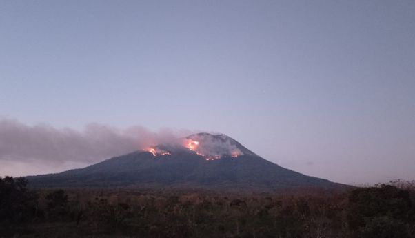 Gunung Ile Lewotolok 'Batuk-batuk, Lontaran Lavanya Bikin Kebakaran Hutan dan Lahan