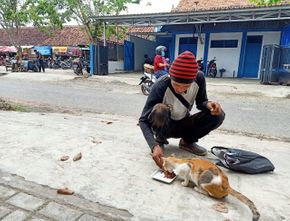Berita Jateng: Kisah Darmawan, Pria Tegal yang Kontrak Rumah Demi Kucing Jalanan