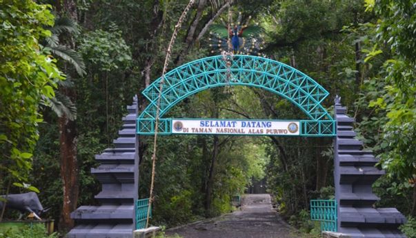 Alas Purwo, Rekomendasi Tempat Baru dari Netizen Selain Bali Khusus untuk Para Bule
