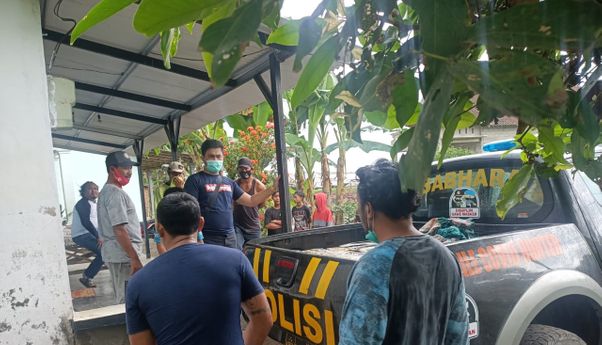 Misteri Pemilik 40 Ribu Benur di Mobil Brio yang Terparkir di Pinggir Jalan Banyuwangi