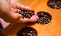 Penikmat Kopi Wajib Tahu! Ini 8 Jenis Sajian Kopi Paling Populer di Indonesia