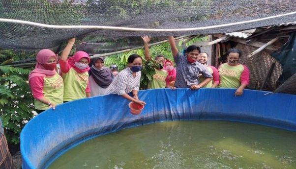 Kabar Jogja: Lurah Pakuncen Apresiasi Budidaya Lele Bioflok oleh Warganya