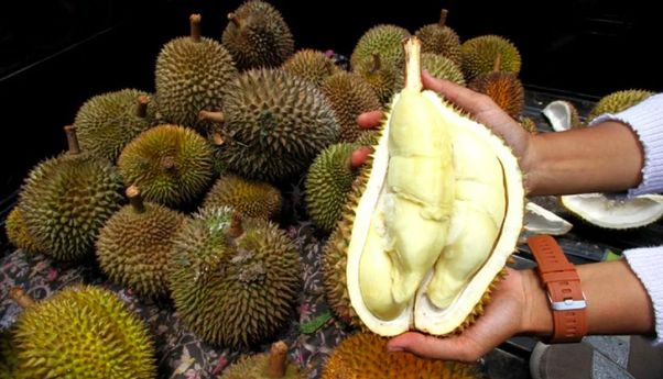 Durian Indonesia Siap Tembus Pasar China Setelah Kesepakatan Ekspor Baru