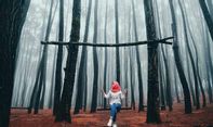 Hutan Pinus Yogyakarta Terindah, Anda Harus Mengunjunginya