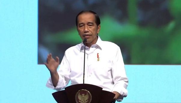 Upaya Merebut PT Freeport Indonesia: Kisah Mencekam Jokowi Diancam Papua Bakal Lepas dan Amerika Ngamuk Besar