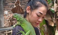 Berawal dari Hobi, Perempuan Madiun Ini Meraup Keuntungan dari Ternak Iguana