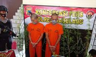Berita Jateng: Polres Magelang Berhasil Bekuk Dua Pelaku Pembudidaya Tanaman Ganja dalam Pot dan Polybag