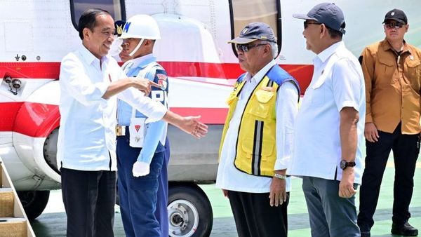 Jokowi Minta Basuki-Raja Juli Jamin Percepatan Pembangunan IKN