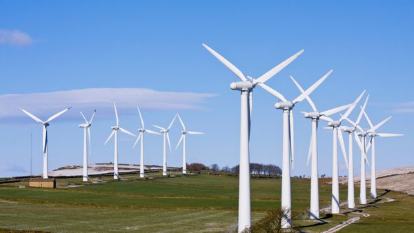 Daftar PLTB di Indonesia yang Jadi Kunci Potensi Besar untuk Energi Terbarukan