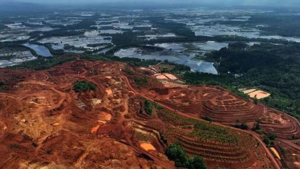 Polemik Tambang Nikel, Kemenpar Nyatakan Raja Ampat Aman Dikunjungi Wisatawan