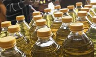 Soal Larangan Ekspor Minyak Goreng, Ekonom: Bakal Untungkan Malaysia dan Rugikan Petani