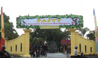 Lokasi Pasar Burung Jogja Terlengkap