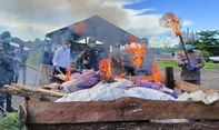 TNI Musnahkan 650 Kg Buah Pinang Ilegal yang Diselundupkan dari Papua Nugini ke Jayapura