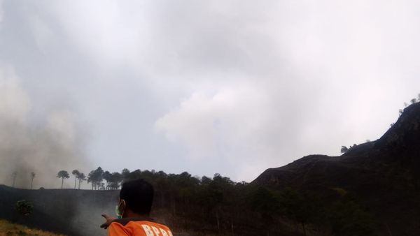 14 Hektar Lahan di Desa Silalahi yang Terbakar Berhasil Padam, Sayangnya Cara Penanganan Masih Manual