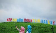 Lokasi dan Fasilitas Kepahiang Mountain Valley, Kebun Teh Kepahiang untuk Nikmati Sunrise dan Sunset Eksotis