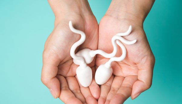 Ini Jenis Makanan Penambah Sperma yang Bisa Dikonsumsi Suami Agar Istri Cepat Hamil
