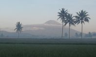 Bupati Magelang Soroti Pentingnya Peningkatan Pelayanan Publik di Desa