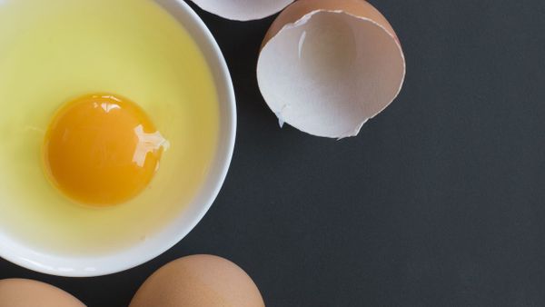Waspada! Bahaya Makan Telur Mentah bagi Kesehatan