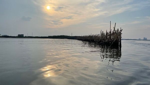 Pemprov DKI Pastikan Pagar Laut 500 Meter di Pulau C Reklamasi Tidak Dilanjutkan