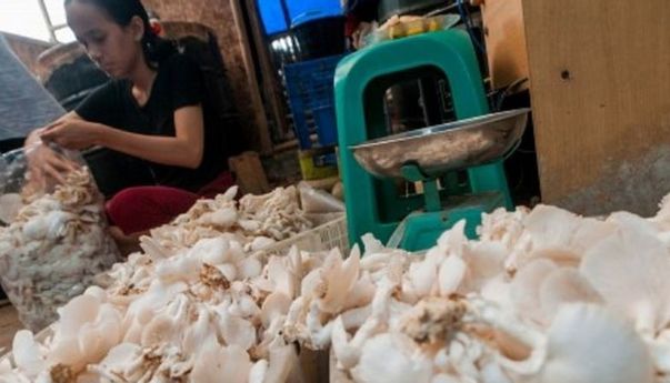 Berita Terkini: Soal Bantuan Modal Kerja untuk UMKM, Pengamat Ungkap Masalah Utama Pelaku Usaha Hari ini