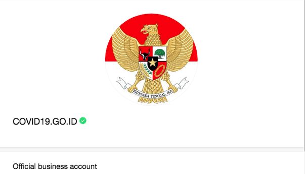 Pantau Terus Corona dengan Chatbot WhatsApp Covid-19