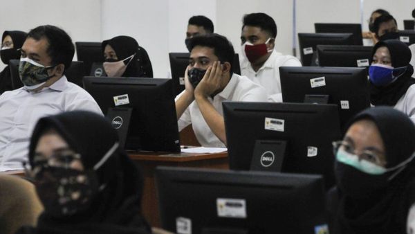 Cek Hasil Seleksi Administrasi CPNS 2024 Secara Online, Begini Caranya