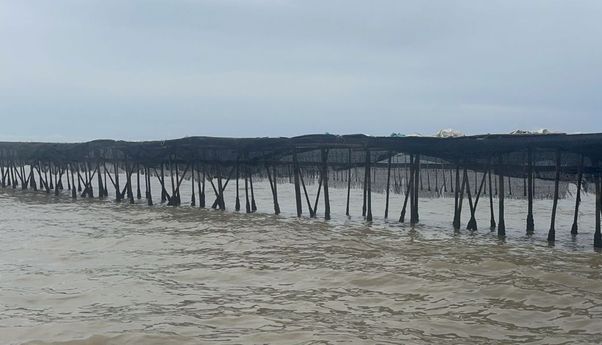 Penjelasan Agung Sedayu Soal Kepimilikan SHGB di Kawasan Pagar Laut Tangerang: Sesuai Prosedur