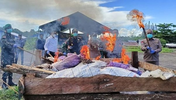 TNI Musnahkan 650 Kg Buah Pinang Ilegal yang Diselundupkan dari Papua Nugini ke Jayapura