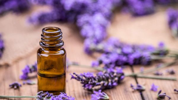 Baik untuk Perawatan Kulit, Inilah Manfaat Lavender Oil untuk Perempuan
