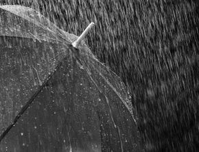Meningkatkan Sistem Imun untuk Menghadapi Musim Hujan