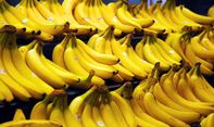 Pisang Cavendish Boyolali Dimintai Pasar Internasional