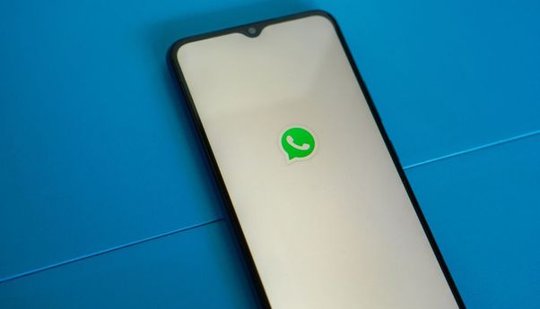 Whatsapp Tak Bisa Unduh Gambar? Bisa Jadi karena Beberapa Hal Ini