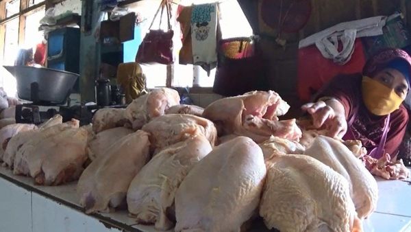 Penurunan Harga Daging Ayam Picu Deflasi Agustus 2020