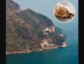 Viral Gunung di China Mirip Kepala Anjing, Langsung Jadi Destinasi Wisata Baru