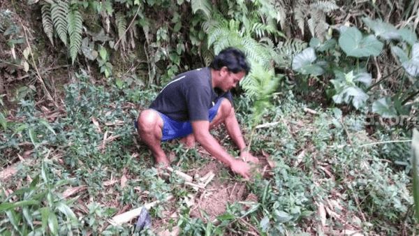 Berita Jogja: Warga Wonorejo Tanam 500 Tumbuhan di Bantaran Sungai Boyong